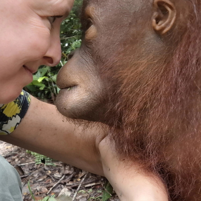 Kalimantan; over de Orang Hutan en Orang Stefanie